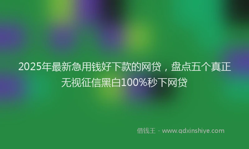 2025年最新急用钱好下款的网贷，盘点五个真正无视征信黑白100%秒下网贷