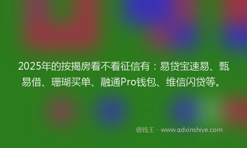 2025年的按揭房看不看征信有：易贷宝速易、甄易借、珊瑚买单、融通Pro钱包、维信闪贷等。