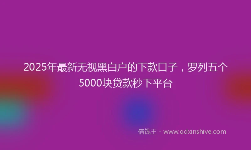 2025年最新无视黑白户的下款口子，罗列五个5000块贷款秒下平台