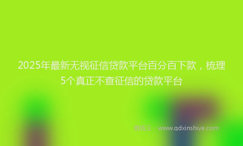 2025年最新无视征信贷款平台百分百下款，梳理5个真正不查征信的贷款平台
