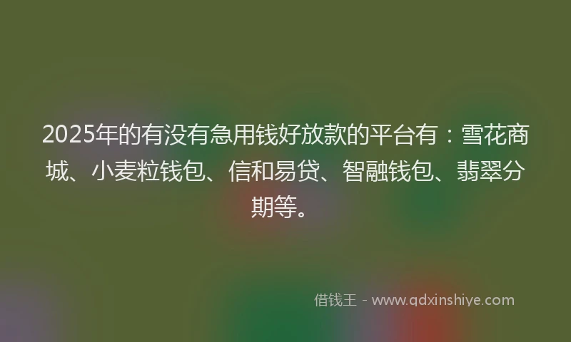2025年的有没有急用钱好放款的平台有：雪花商城、小麦粒钱包、信和易贷、智融钱包、翡翠分期等。