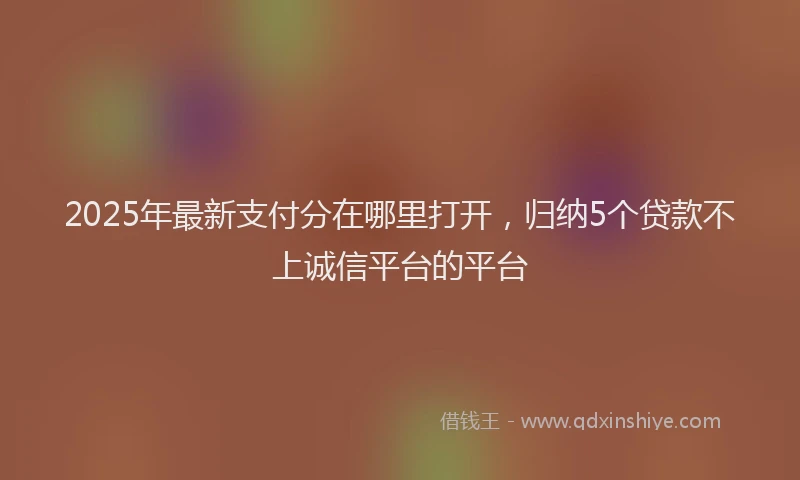 2025年最新支付分在哪里打开，归纳5个贷款不上诚信平台的平台
