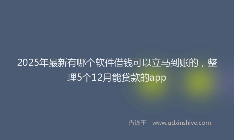 2025年最新有哪个软件借钱可以立马到账的，整理5个12月能贷款的app