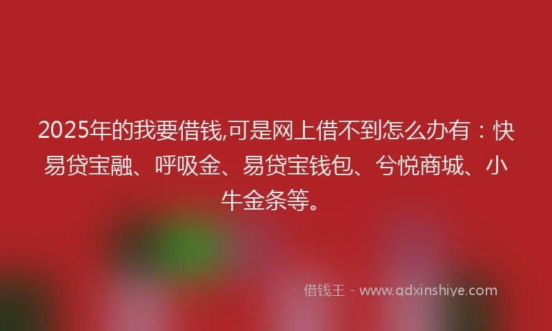 2025年的我要借钱,可是网上借不到怎么办有：快易贷宝融、呼吸金、易贷宝钱包、兮悦商城、小牛金条等。