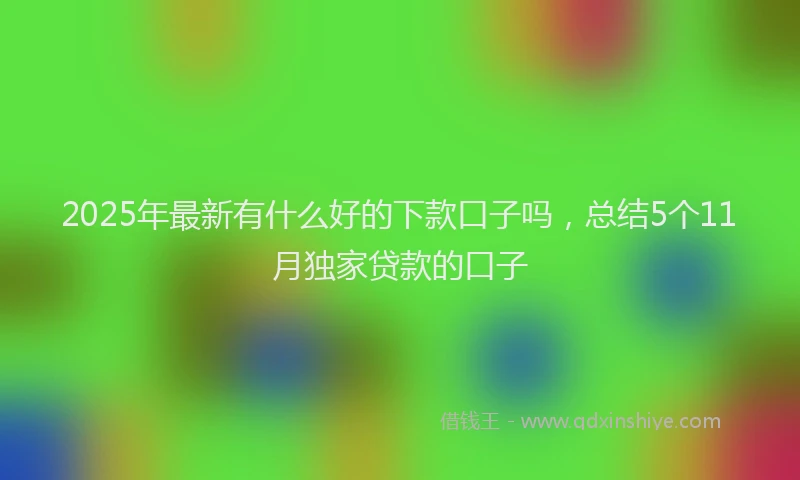 2025年最新有什么好的下款口子吗，总结5个11月独家贷款的口子