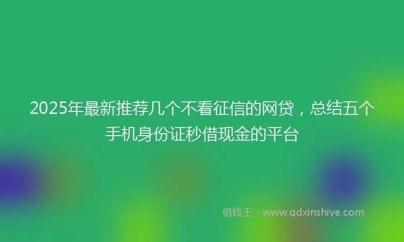 2025年最新推荐几个不看征信的网贷，总结五个手机身份证秒借现金的平台