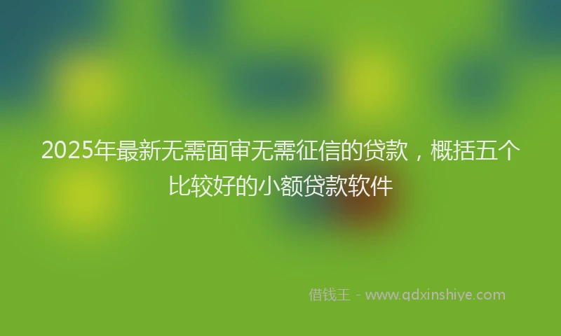 2025年最新无需面审无需征信的贷款，概括五个比较好的小额贷款软件