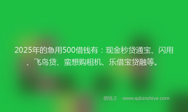 2025年的急用500借钱有：现金秒贷通宝、闪用、飞鸟贷、蛮想购租机、乐借宝贷融等。