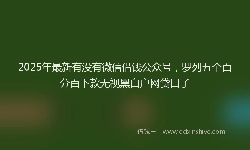 2025年最新有没有微信借钱公众号，罗列五个百分百下款无视黑白户网贷口子