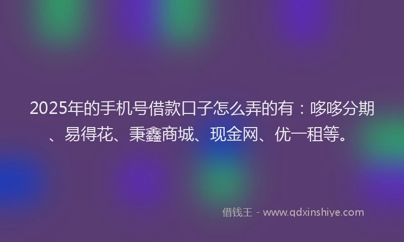 2025年的手机号借款口子怎么弄的有：哆哆分期、易得花、秉鑫商城、现金网、优一租等。