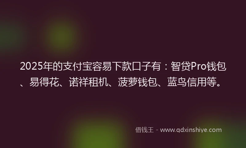 2025年的支付宝容易下款口子有：智贷Pro钱包、易得花、诺祥租机、菠萝钱包、蓝鸟信用等。