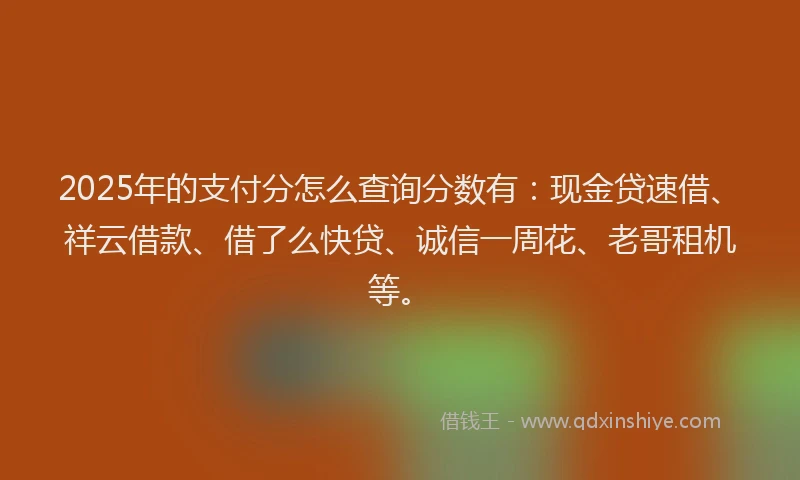 2025年的支付分怎么查询分数有：现金贷速借、祥云借款、借了么快贷、诚信一周花、老哥租机等。
