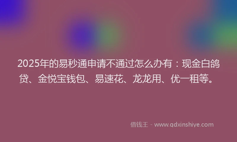 2025年的易秒通申请不通过怎么办有：现金白鸽贷、金悦宝钱包、易速花、龙龙用、优一租等。