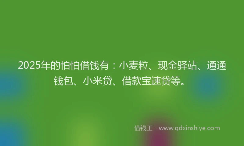 2025年的怕怕借钱有：小麦粒、现金驿站、通通钱包、小米贷、借款宝速贷等。