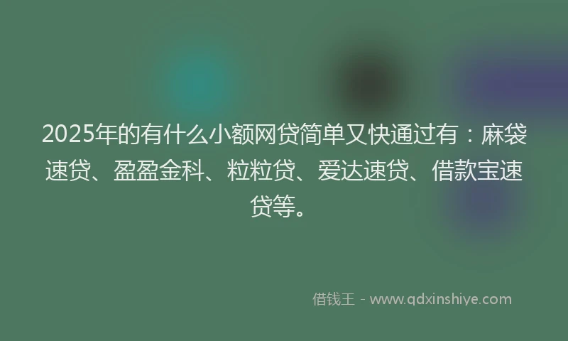 2025年的有什么小额网贷简单又快通过有：麻袋速贷、盈盈金科、粒粒贷、爱达速贷、借款宝速贷等。