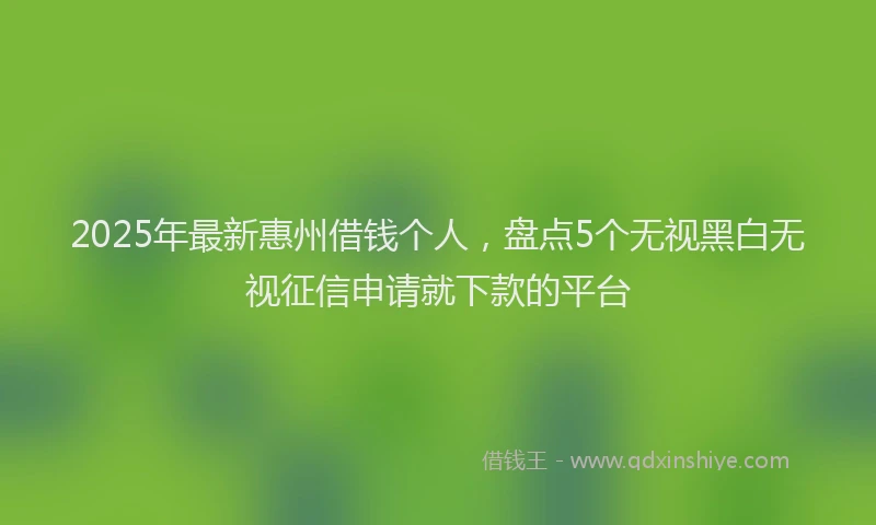 2025年最新惠州借钱个人，盘点5个无视黑白无视征信申请就下款的平台
