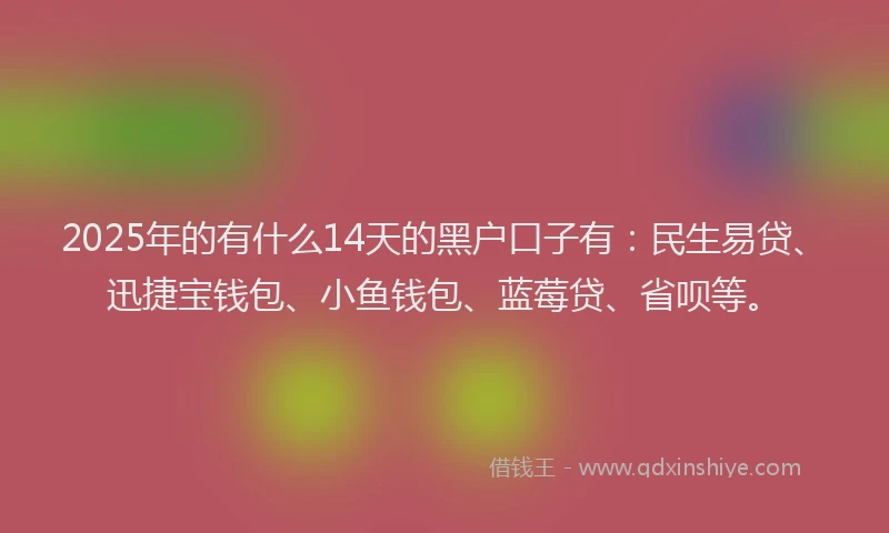 2025年的有什么14天的黑户口子有：民生易贷、迅捷宝钱包、小鱼钱包、蓝莓贷、省呗等。