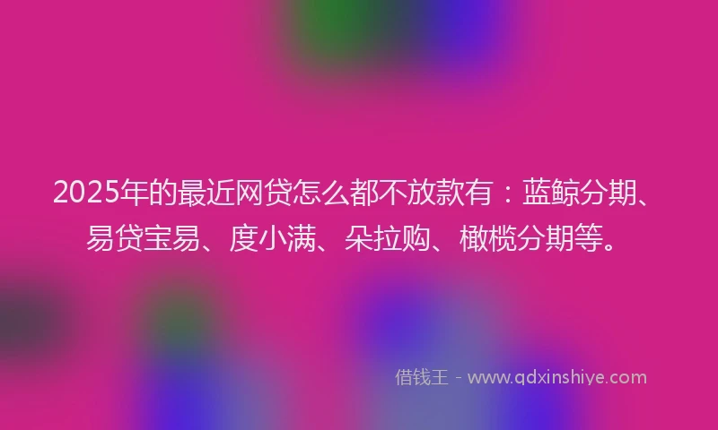 2025年的最近网贷怎么都不放款有：蓝鲸分期、易贷宝易、度小满、朵拉购、橄榄分期等。