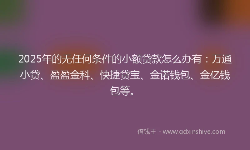 2025年的无任何条件的小额贷款怎么办有：万通小贷、盈盈金科、快捷贷宝、金诺钱包、金亿钱包等。