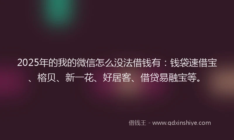 2025年的我的微信怎么没法借钱有：钱袋速借宝、榕贝、新一花、好居客、借贷易融宝等。