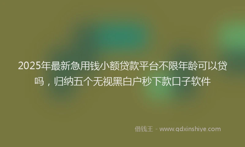 2025年最新急用钱小额贷款平台不限年龄可以贷吗，归纳五个无视黑白户秒下款口子软件