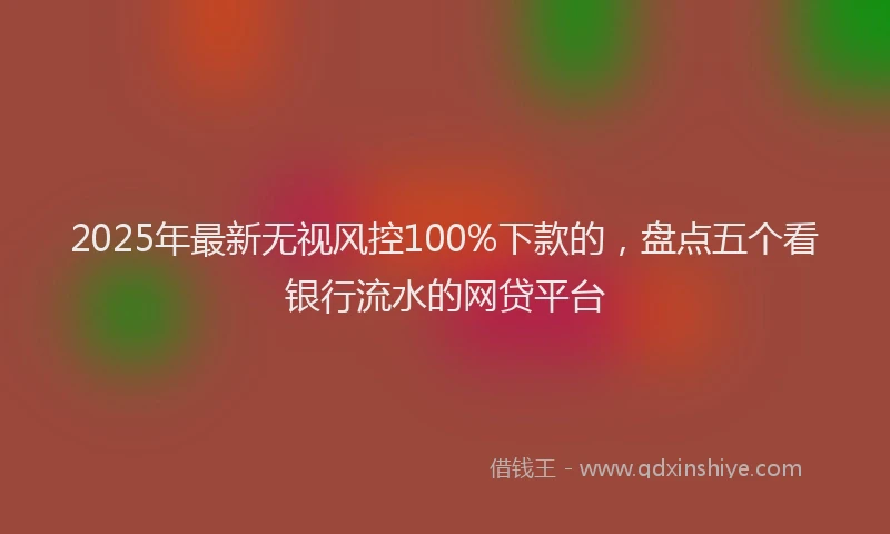 2025年最新无视风控100%下款的，盘点五个看银行流水的网贷平台