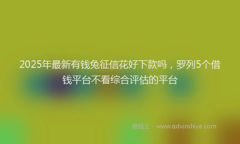 2025年最新有钱兔征信花好下款吗，罗列5个借钱平台不看综合评估的平台