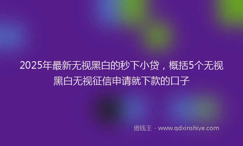 2025年最新无视黑白的秒下小贷，概括5个无视黑白无视征信申请就下款的口子