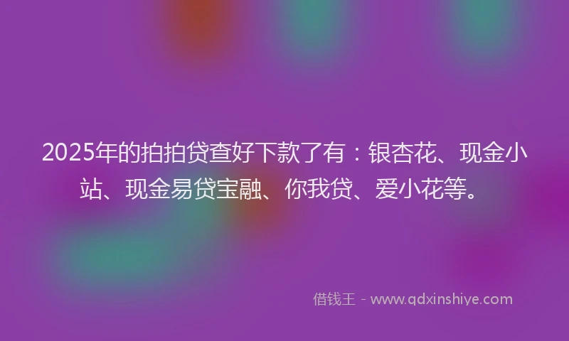 2025年的拍拍贷查好下款了有：银杏花、现金小站、现金易贷宝融、你我贷、爱小花等。