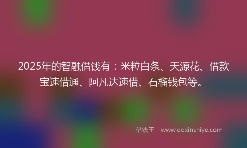 2025年的智融借钱有：米粒白条、天源花、借款宝速借通、阿凡达速借、石榴钱包等。