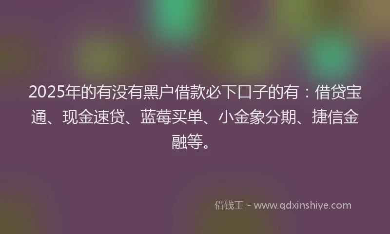 2025年的有没有黑户借款必下口子的有：借贷宝通、现金速贷、蓝莓买单、小金象分期、捷信金融等。