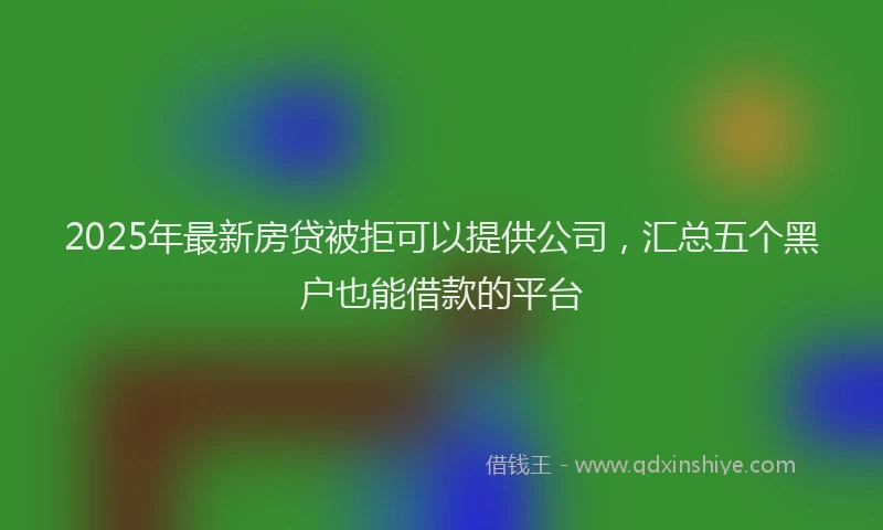 2025年最新房贷被拒可以提供公司，汇总五个黑户也能借款的平台