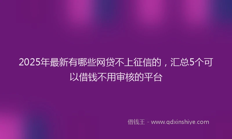 2025年最新有哪些网贷不上征信的，汇总5个可以借钱不用审核的平台