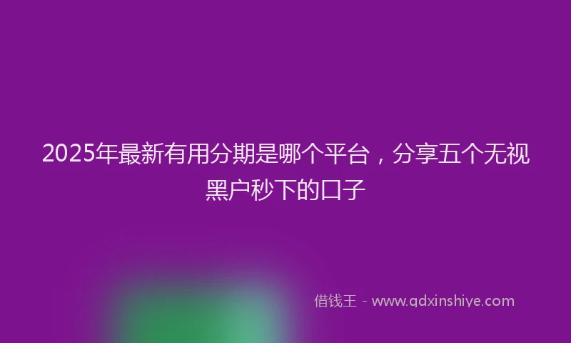 2025年最新有用分期是哪个平台，分享五个无视黑户秒下的口子