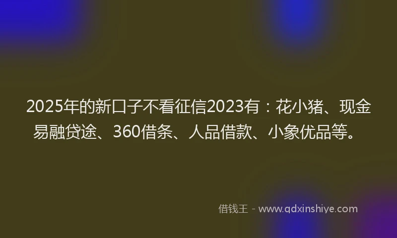 2025年的新口子不看征信2023有：花小猪、现金易融贷途、360借条、人品借款、小象优品等。