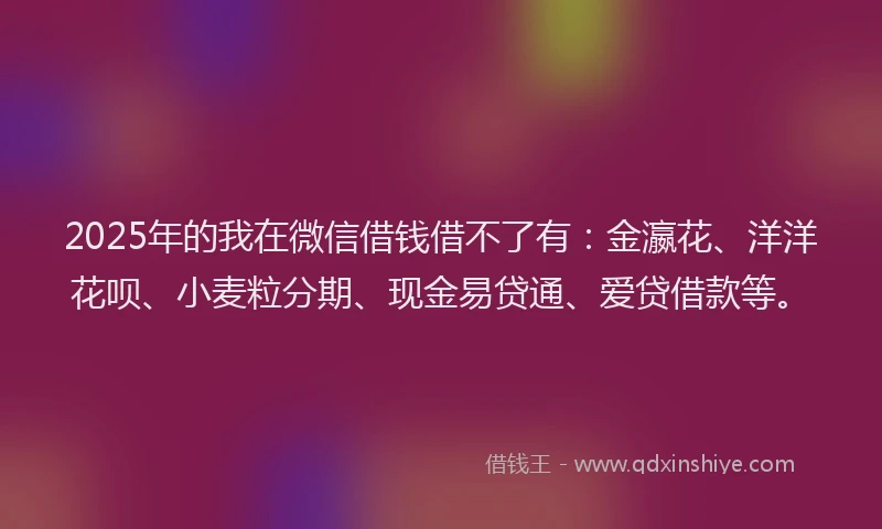 2025年的我在微信借钱借不了有：金瀛花、洋洋花呗、小麦粒分期、现金易贷通、爱贷借款等。