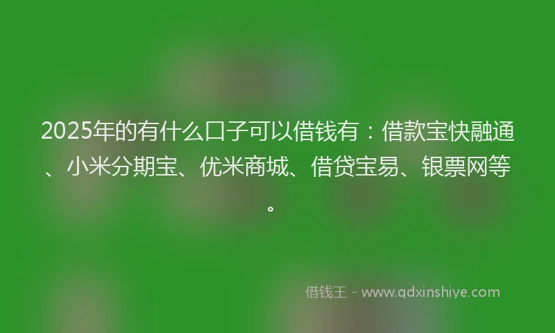 2025年的有什么口子可以借钱有：借款宝快融通、小米分期宝、优米商城、借贷宝易、银票网等。