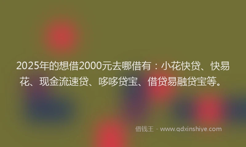2025年的想借2000元去哪借有：小花快贷、快易花、现金流速贷、哆哆贷宝、借贷易融贷宝等。