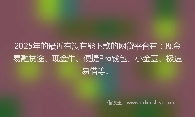 2025年的最近有没有能下款的网贷平台有：现金易融贷途、现金牛、便捷Pro钱包、小金豆、极速易借等。
