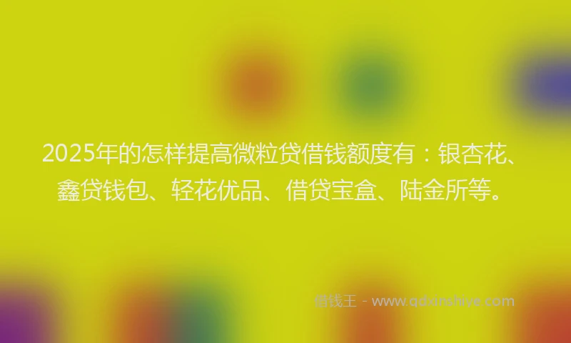 2025年的怎样提高微粒贷借钱额度有：银杏花、鑫贷钱包、轻花优品、借贷宝盒、陆金所等。