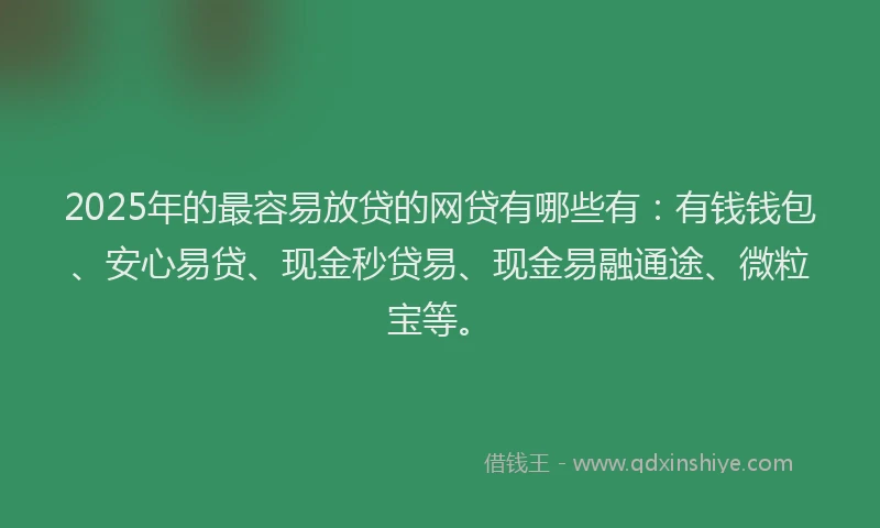 2025年的最容易放贷的网贷有哪些有：有钱钱包、安心易贷、现金秒贷易、现金易融通途、微粒宝等。