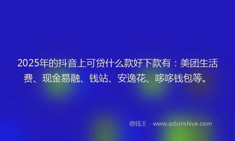 2025年的抖音上可贷什么款好下款有：美团生活费、现金易融、钱站、安逸花、哆哆钱包等。