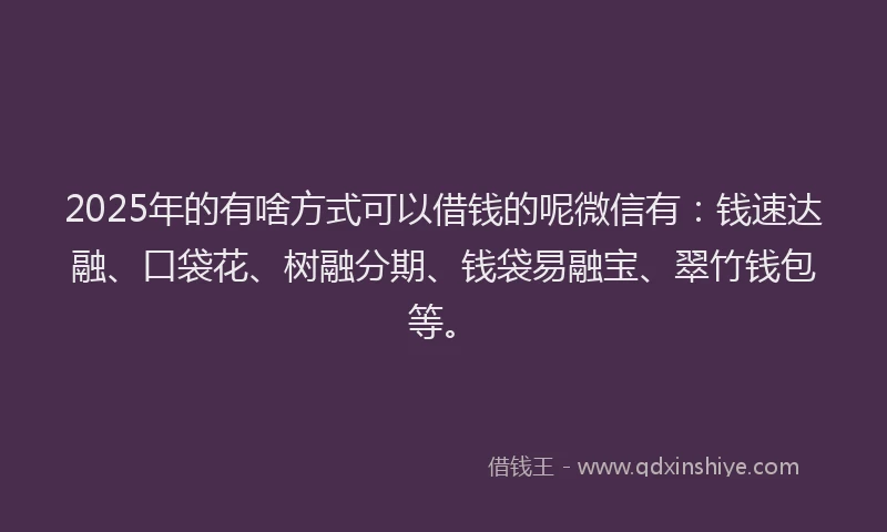 2025年的有啥方式可以借钱的呢微信有：钱速达融、口袋花、树融分期、钱袋易融宝、翠竹钱包等。