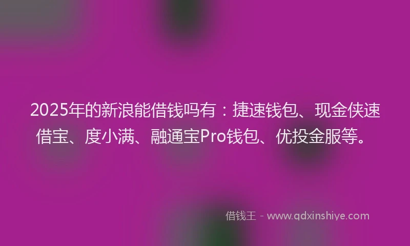 2025年的新浪能借钱吗有：捷速钱包、现金侠速借宝、度小满、融通宝Pro钱包、优投金服等。