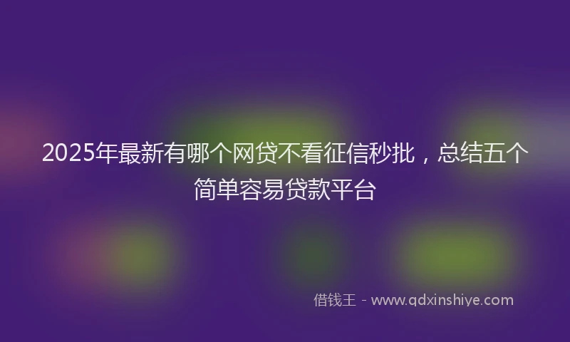 2025年最新有哪个网贷不看征信秒批，总结五个简单容易贷款平台