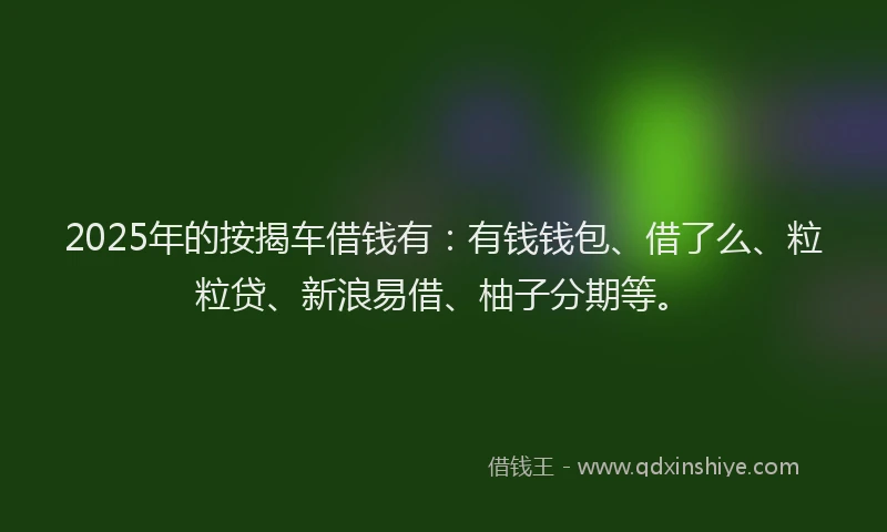 2025年的按揭车借钱有：有钱钱包、借了么、粒粒贷、新浪易借、柚子分期等。