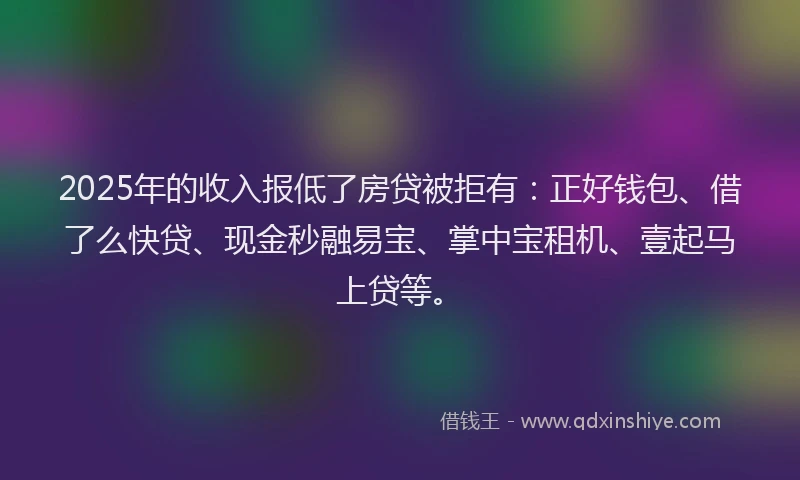 2025年的收入报低了房贷被拒有：正好钱包、借了么快贷、现金秒融易宝、掌中宝租机、壹起马上贷等。