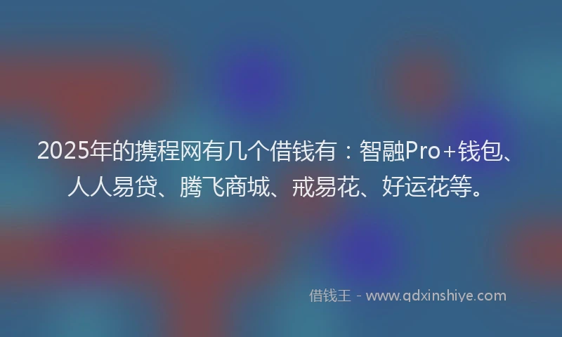 2025年的携程网有几个借钱有：智融Pro+钱包、人人易贷、腾飞商城、戒易花、好运花等。