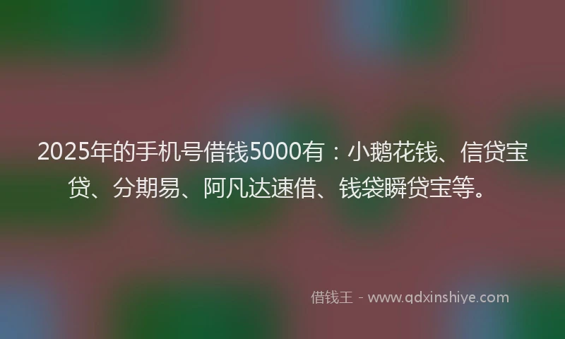 2025年的手机号借钱5000有：小鹅花钱、信贷宝贷、分期易、阿凡达速借、钱袋瞬贷宝等。