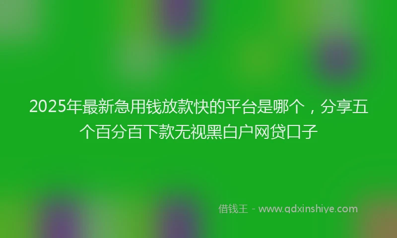 2025年最新急用钱放款快的平台是哪个，分享五个百分百下款无视黑白户网贷口子